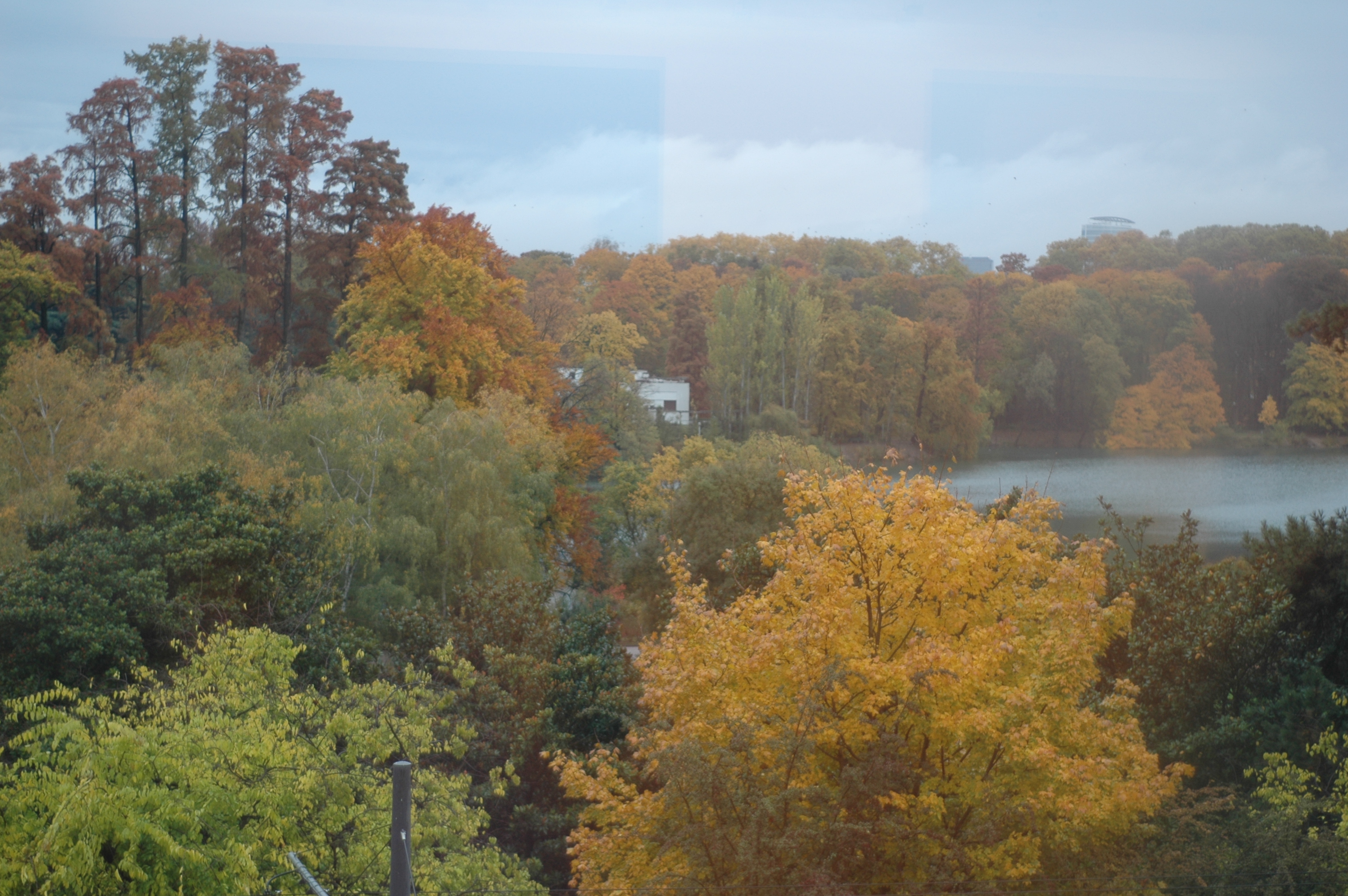 Ludivine Mabire
designer graphique
