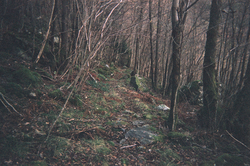 Ludivine Mabire
designer graphique
