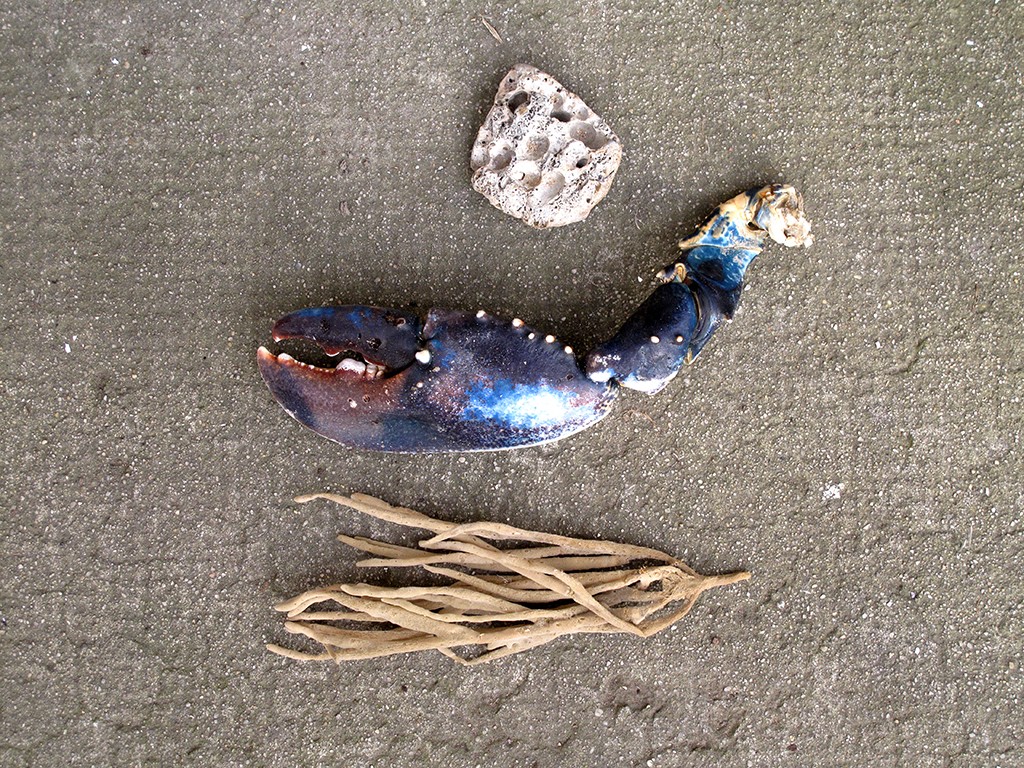 Ludivine Mabire
designer graphique
