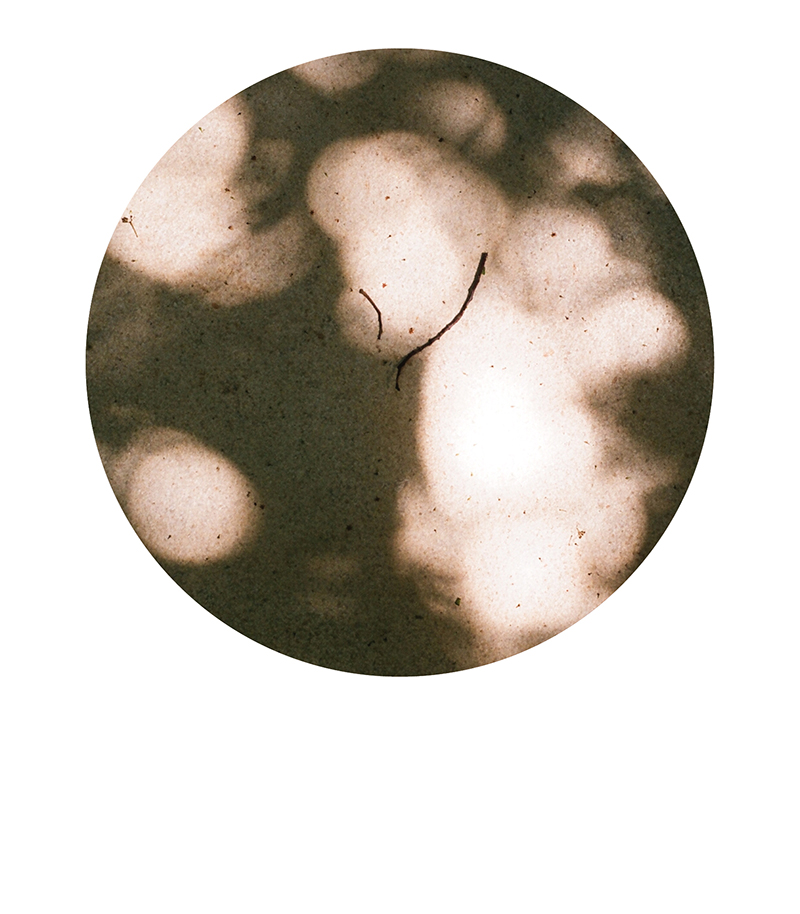 Ludivine Mabire
designer graphique
