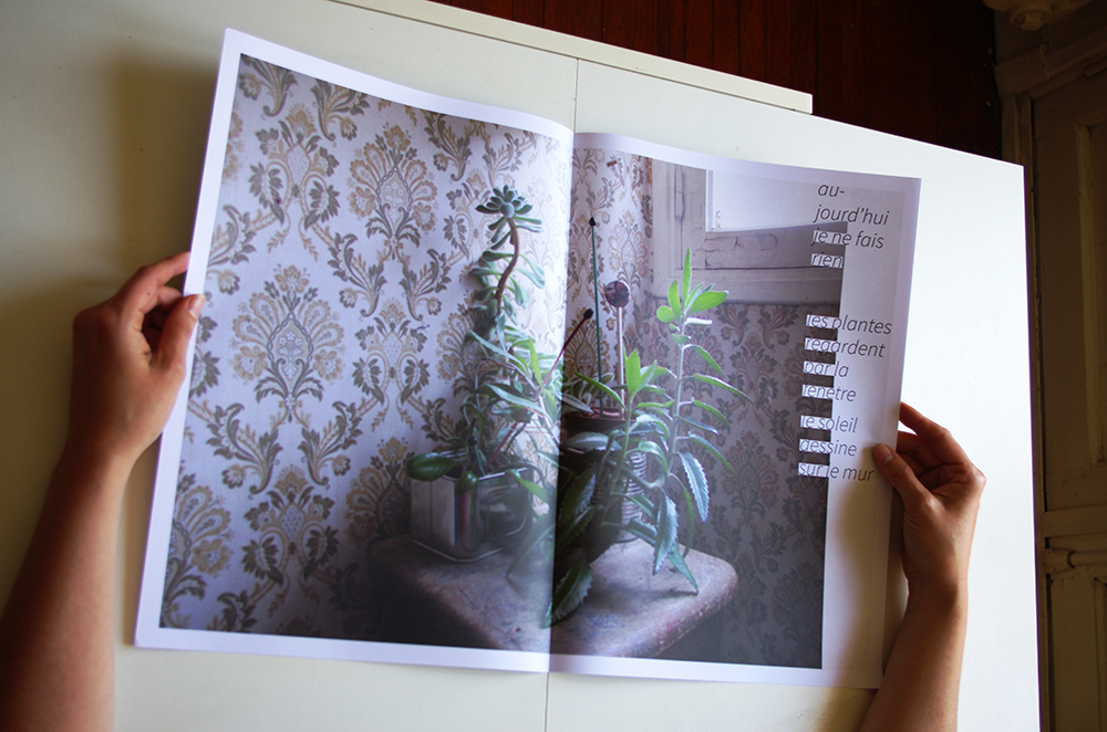 Ludivine Mabire
designer graphique
