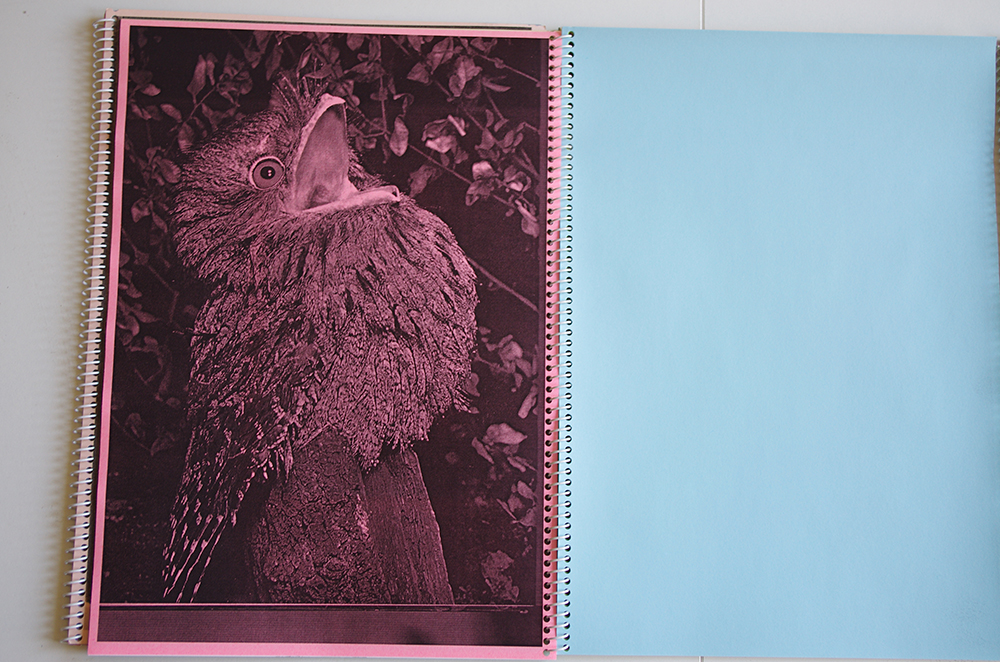 Ludivine Mabire
designer graphique
