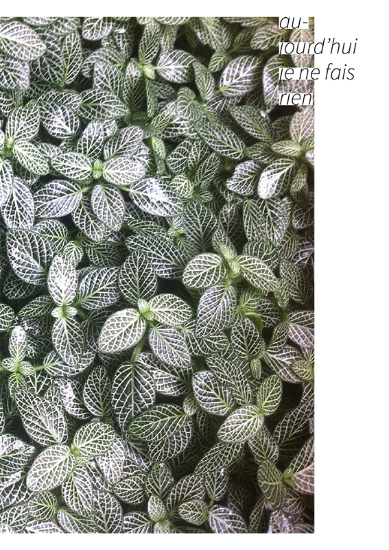 Ludivine Mabire
designer graphique
