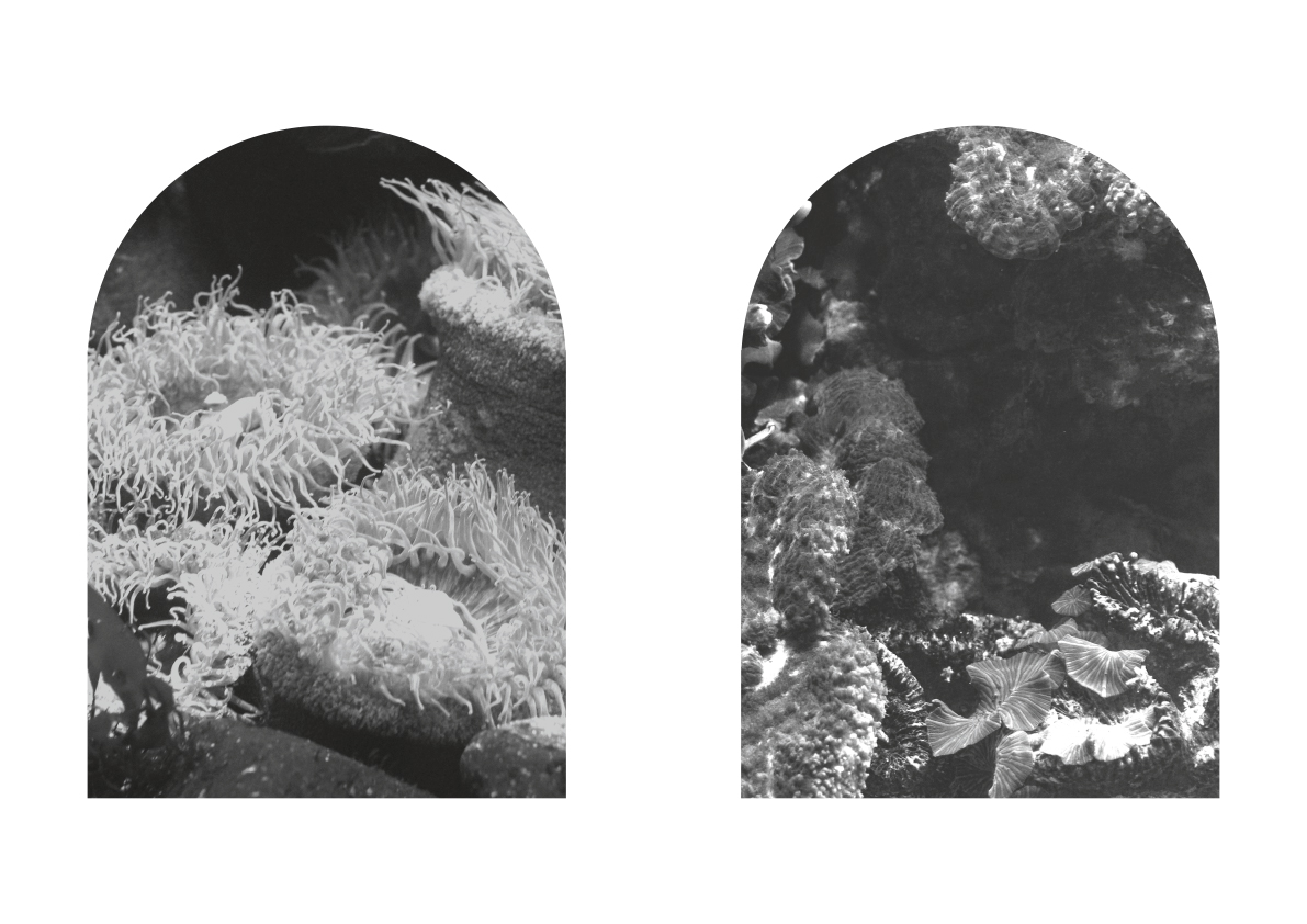 Ludivine Mabire
designer graphique
